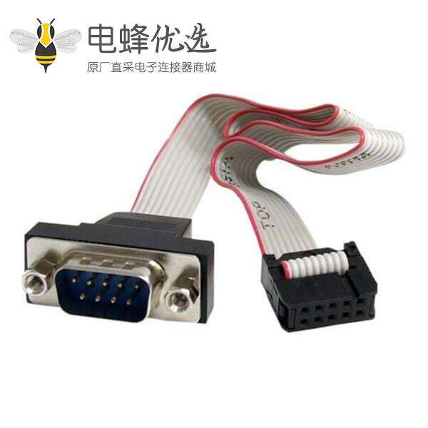 D-SUB 9 pin转10 Pin 端子带排线