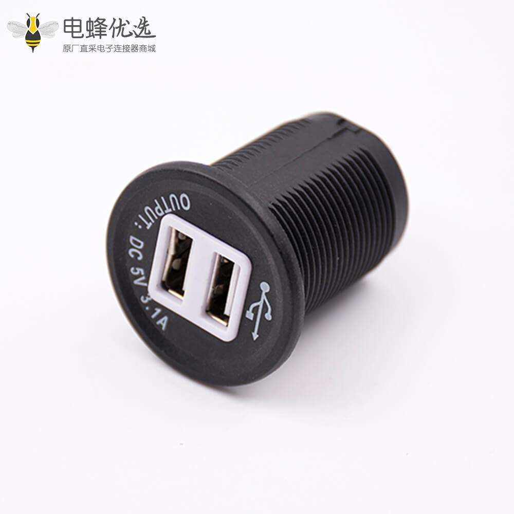 车载双USB充电器5V 3.1A车充